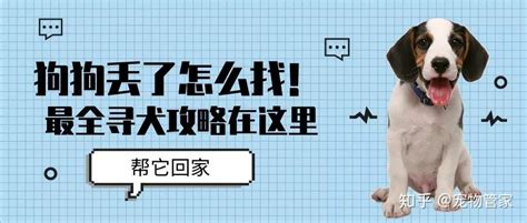 狗走失會去哪|狗狗丢了一般会躲哪里？我应该去哪里找？